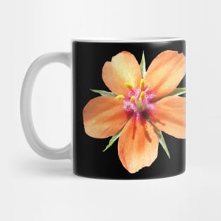 orange flower, flowers, nature, blooms, nature Mug